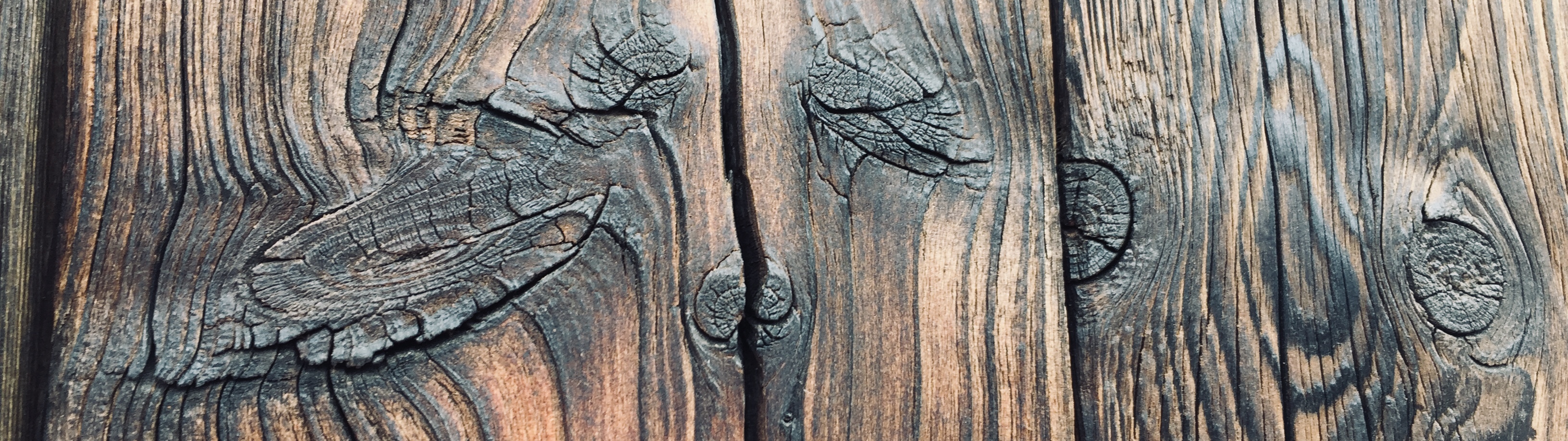 Vrata dřevo